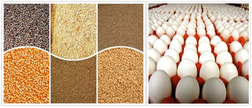 agro-2products